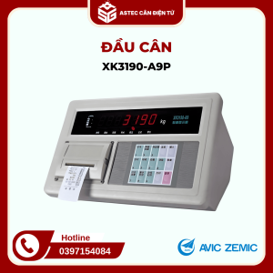 Đầu cân XK3190 A9P Zemic