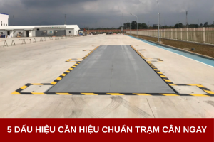 Ảnh đại diện dự án tin tức