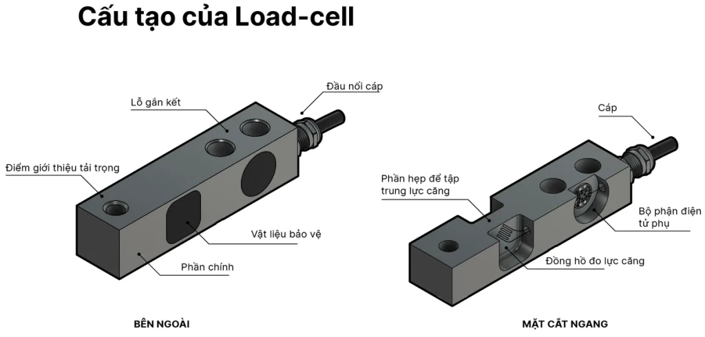 max content load Cell anatomy vn fac75012b8