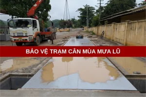 Ảnh đại diện dự án tin tức (2) (1)