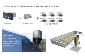 645959630 1506268147682123 3376688699737118948 n