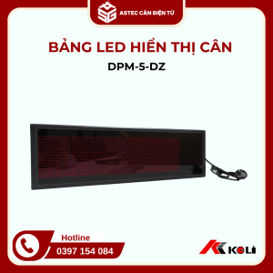 Bảng led hiển thị cân DPM 5 DZ (2)